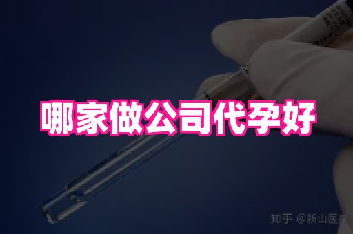 江苏助孕网 2