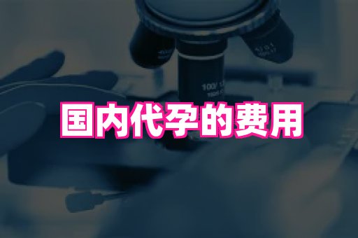 江苏助孕网 3